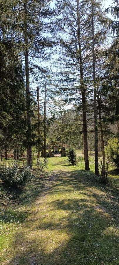 Апартаменты Casale La Pineta Mombaroccio Экстерьер фото