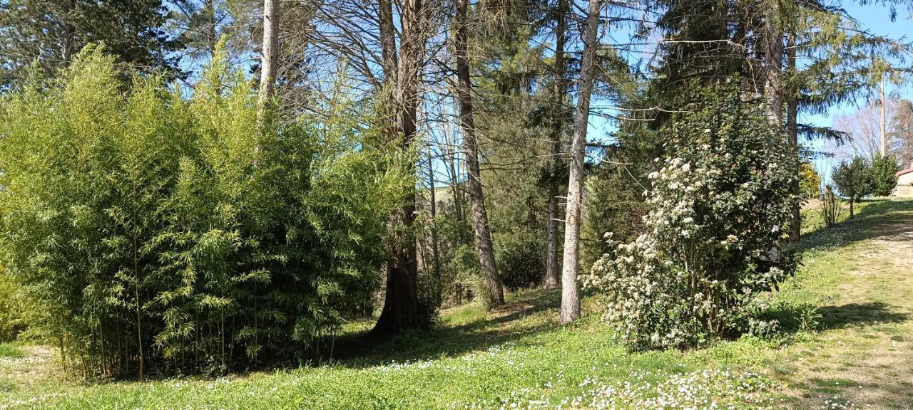 Апартаменты Casale La Pineta Mombaroccio Экстерьер фото