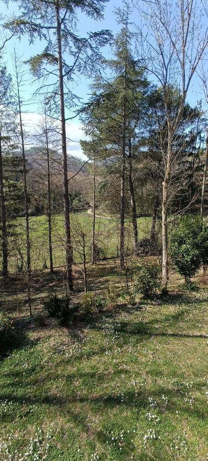 Апартаменты Casale La Pineta Mombaroccio Экстерьер фото